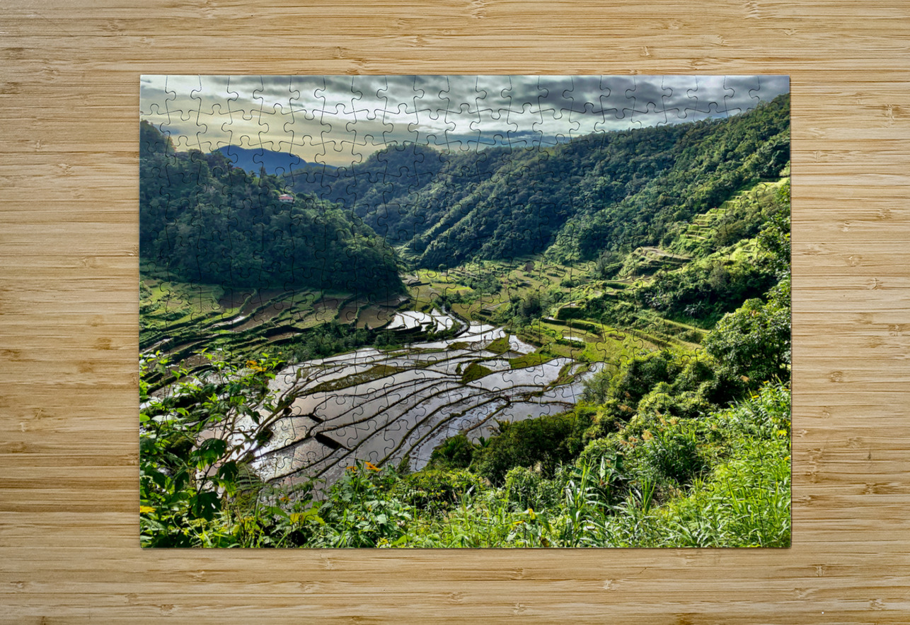 Nice Watery Rice Fields Jimmy Roy Photos Puzzle printing