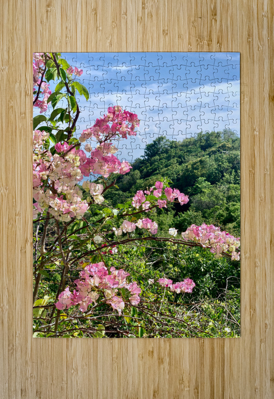 Pretty Pink Flowers Jimmy Roy Photos Puzzle printing
