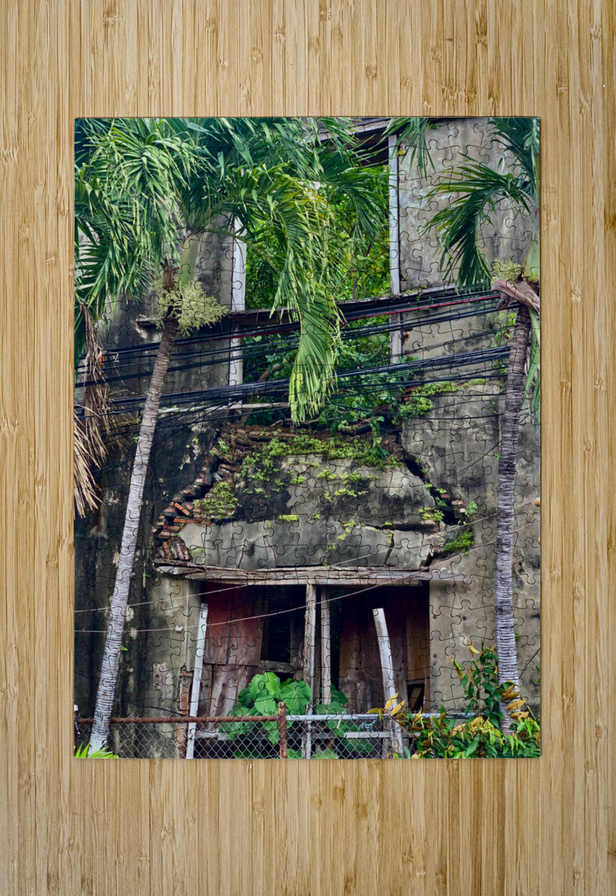 Cracking Down Building Jimmy Roy Photos Puzzle printing