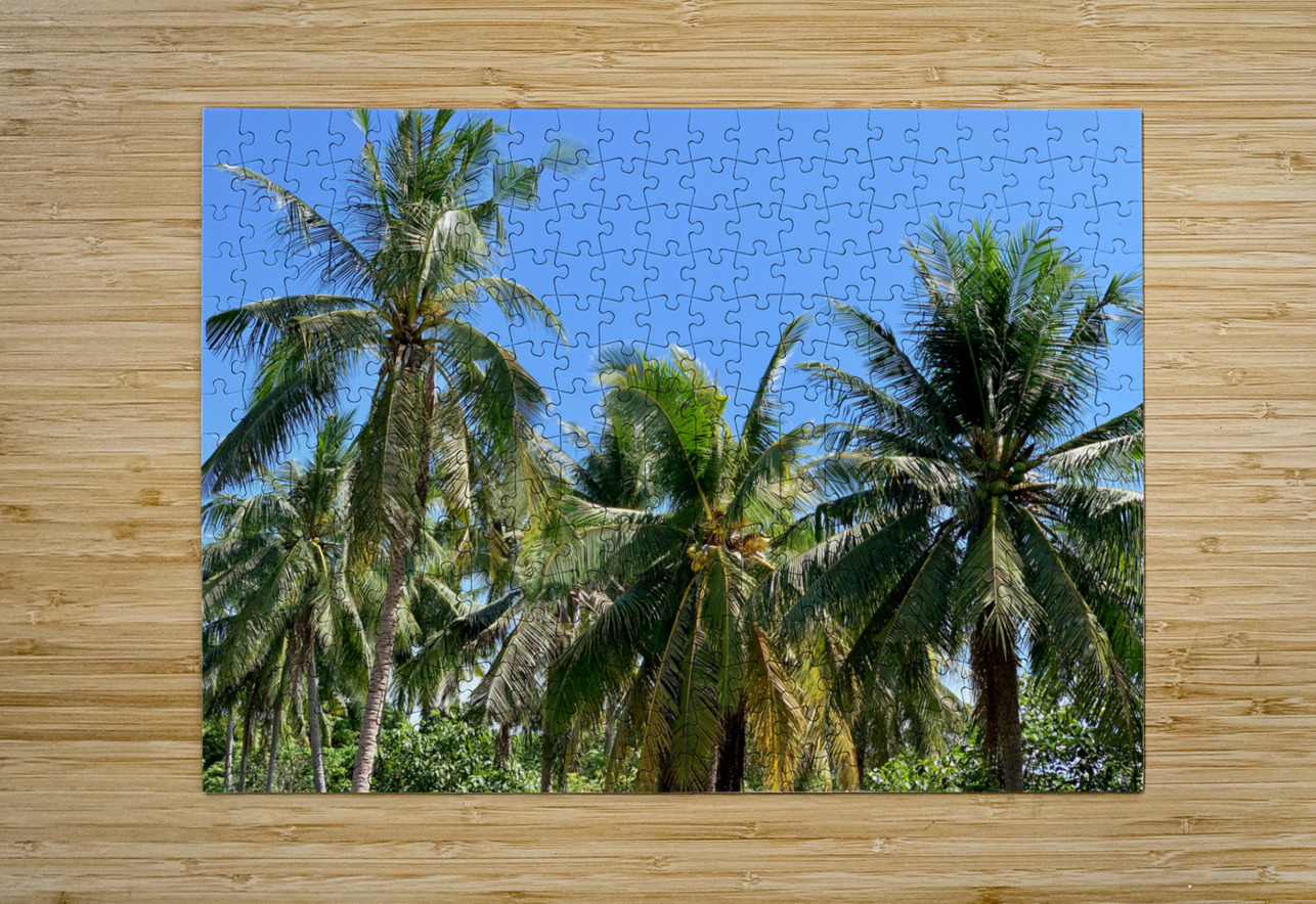 Palm Trees 2 Jimmy Roy Photos Puzzle printing