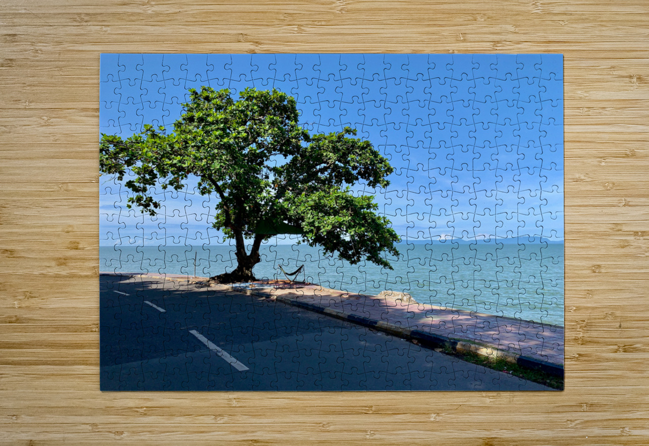 Tree in the Curve Jimmy Roy Photos Puzzle printing