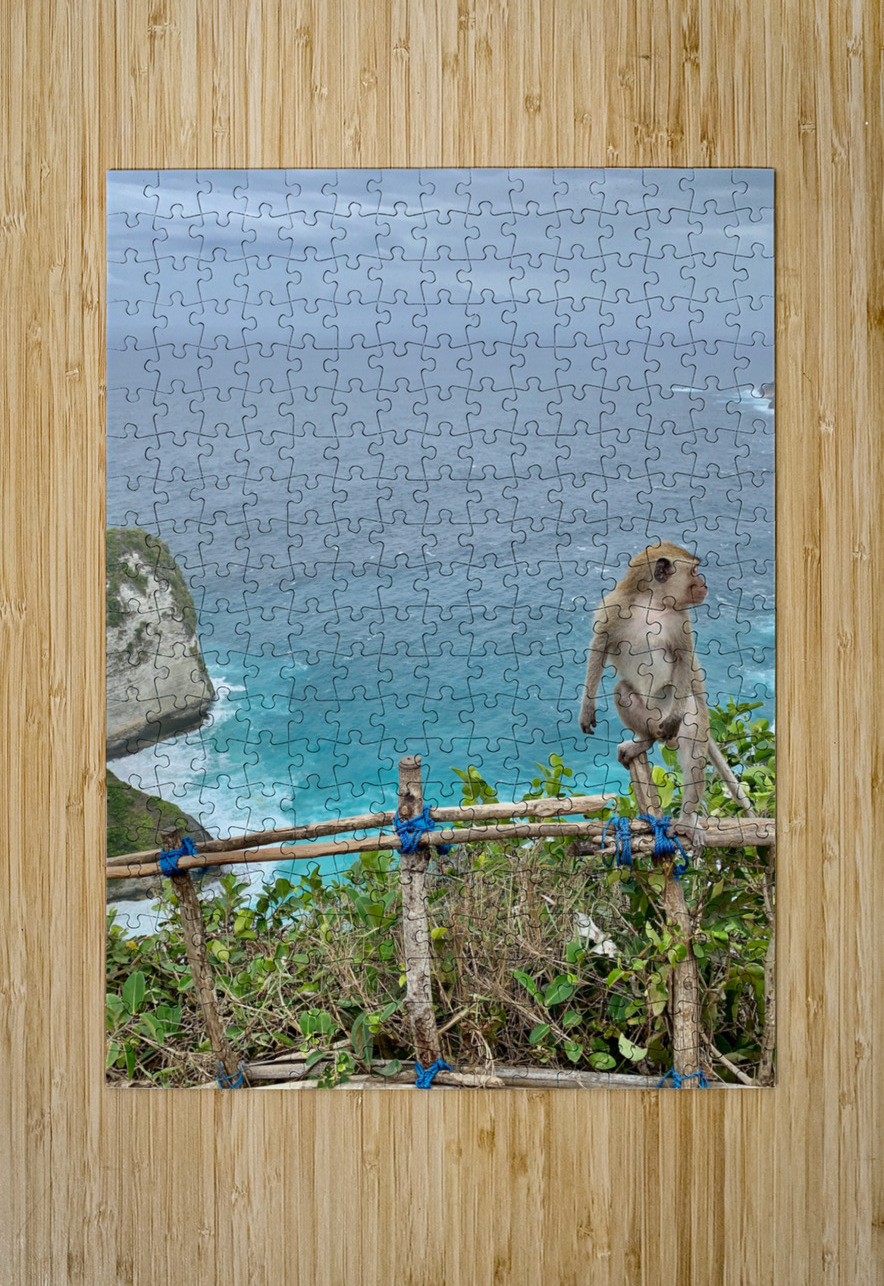 Last Monkey Standing Jimmy Roy Photos Puzzle printing