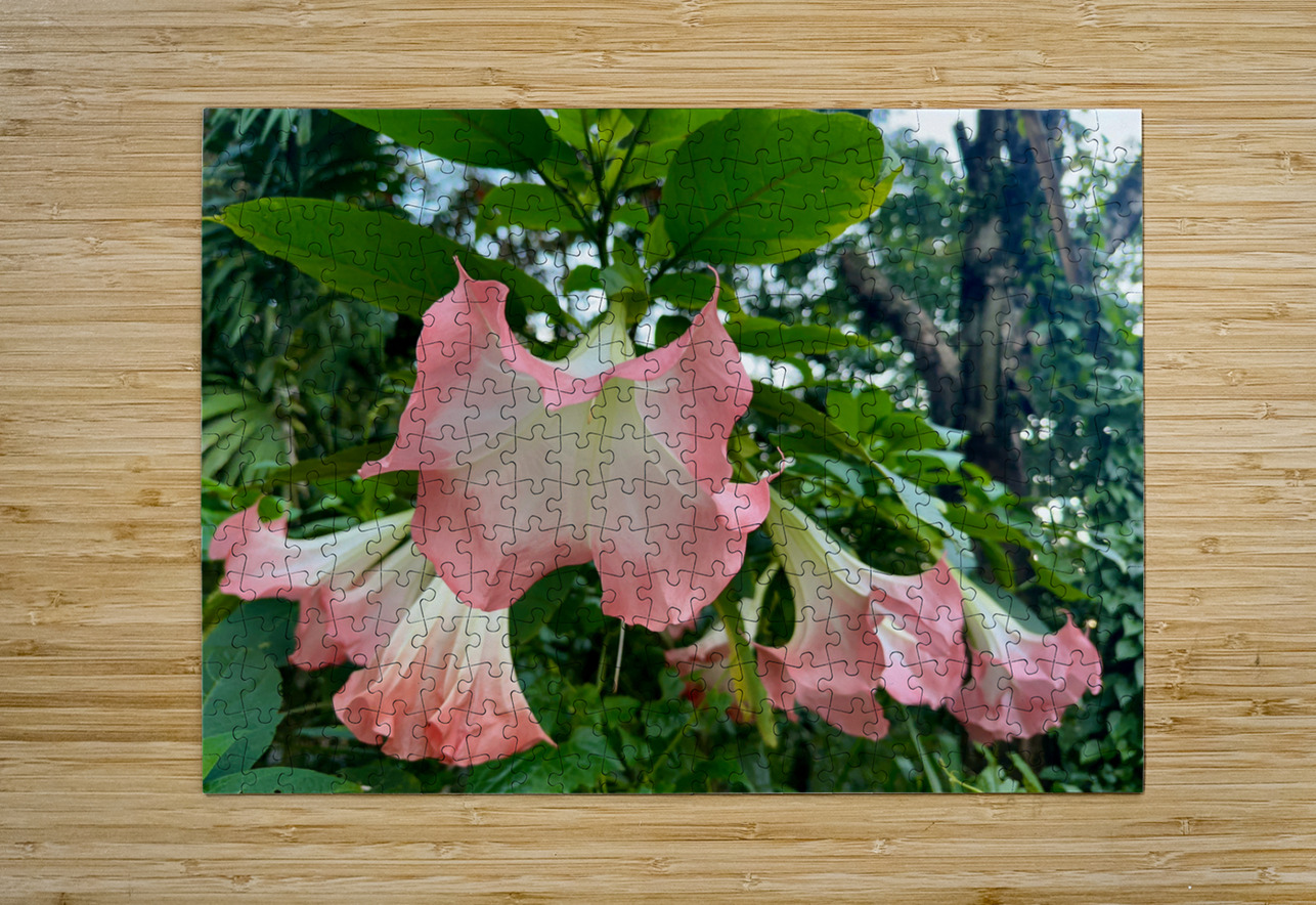 Pink Bell Flowers Jimmy Roy Photos Puzzle printing