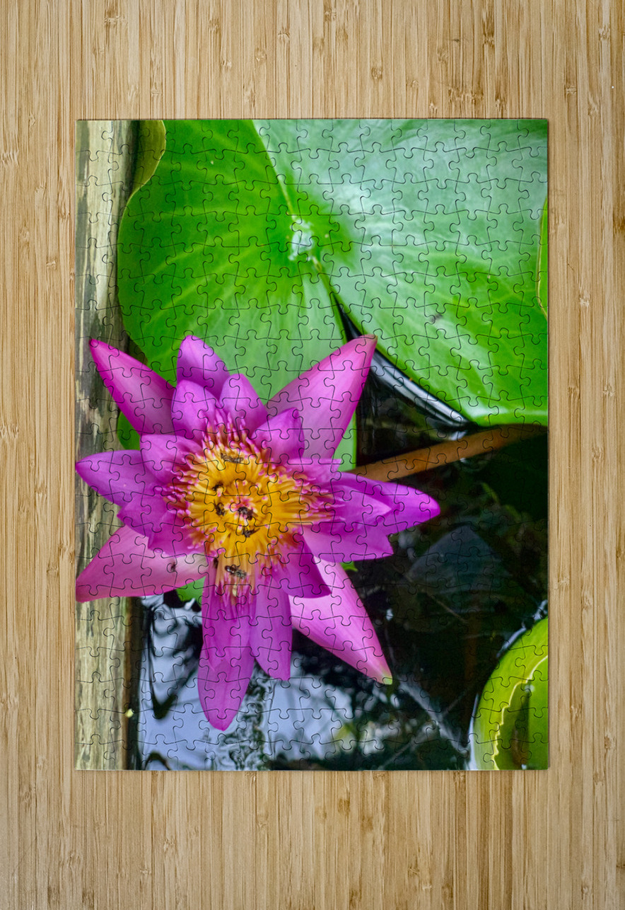 Purple Flower Jimmy Roy Photos Puzzle printing