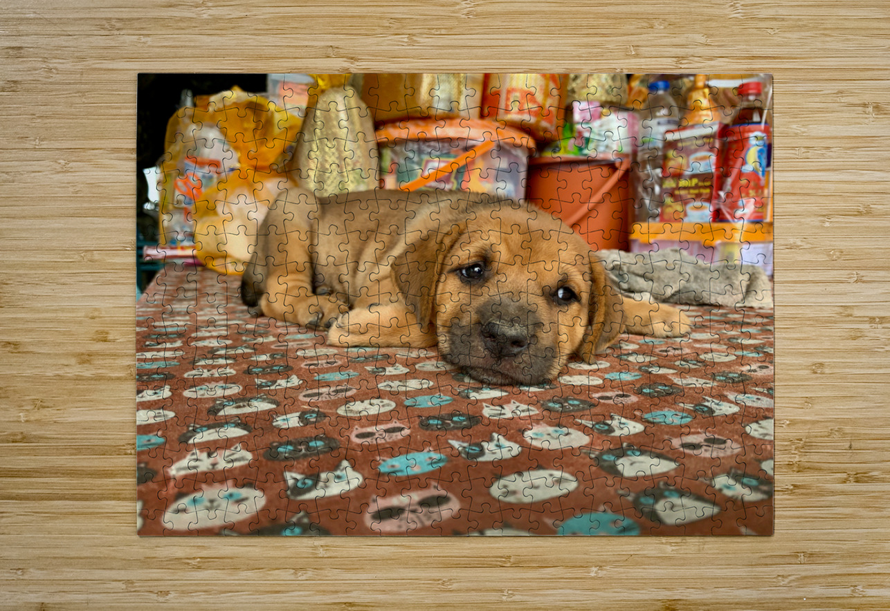 Sleepy Puppy Jimmy Roy Photos Puzzle printing