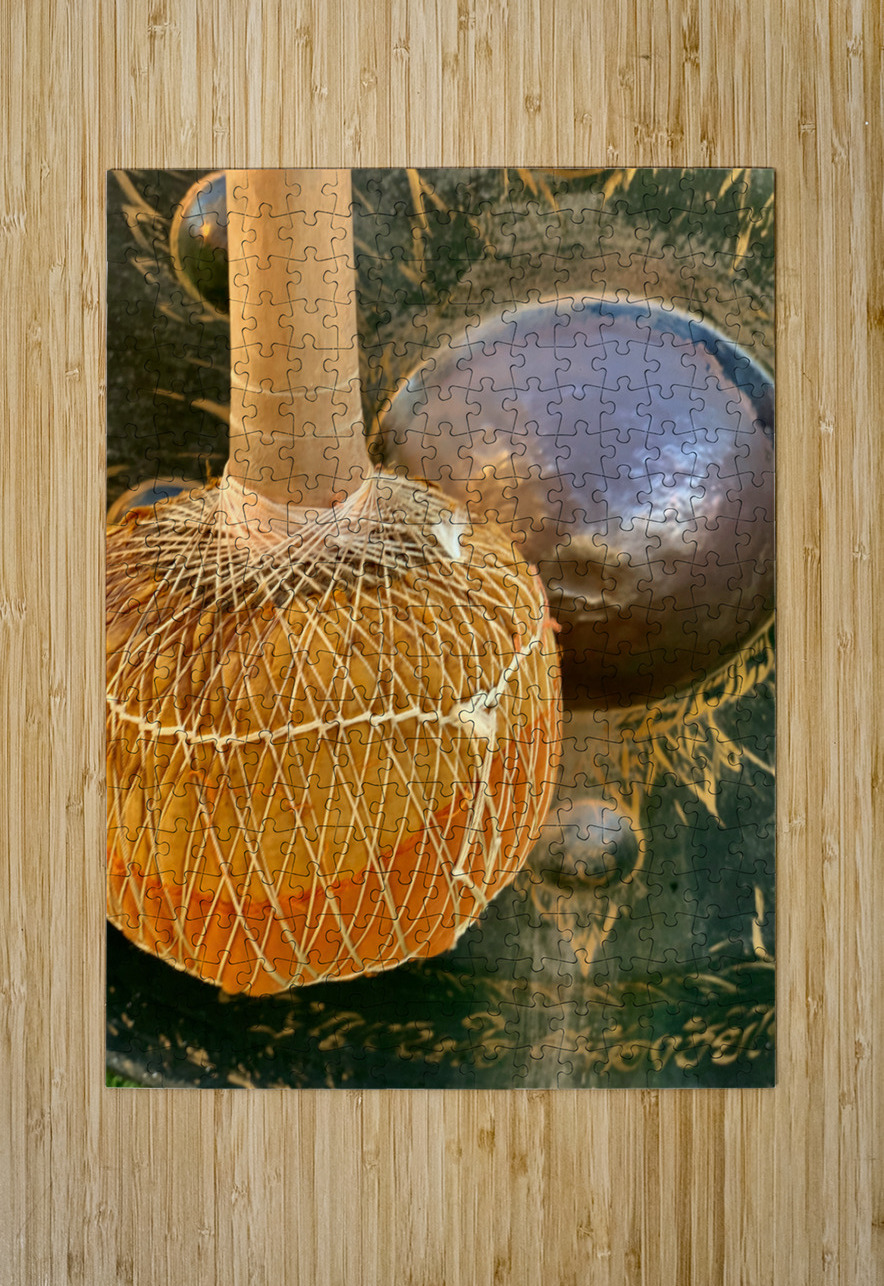 The Gong Jimmy Roy Photos Puzzle printing