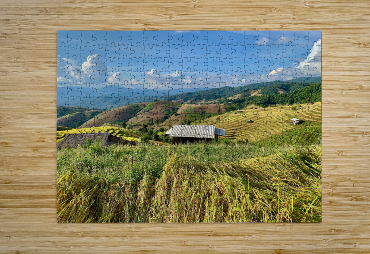 Colorful Rice Fields Jimmy Roy Photos Puzzle printing