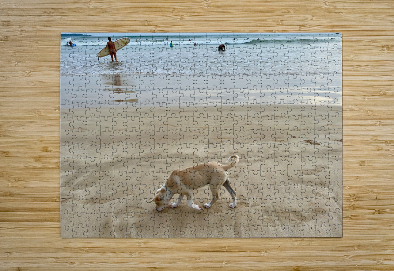 Puppy Walking on the Beach Jimmy Roy Photos Puzzle printing
