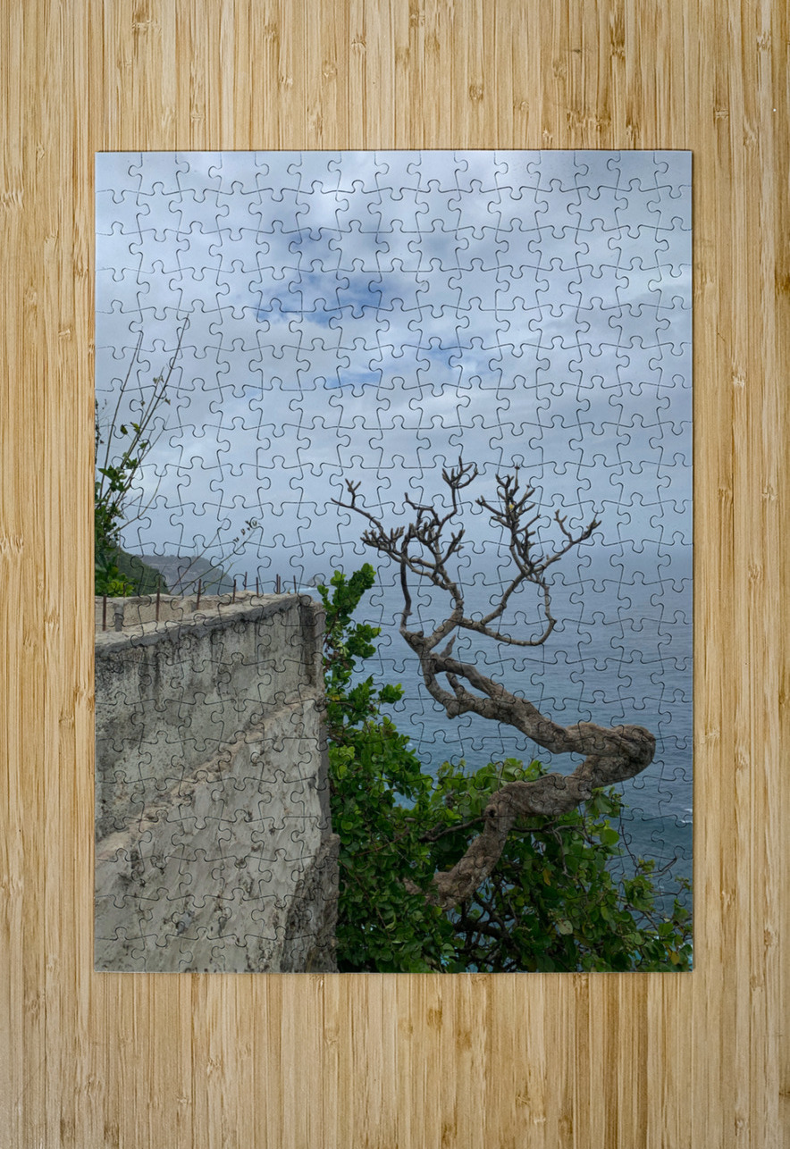 The Tree  The Wall Jimmy Roy Photos Puzzle printing