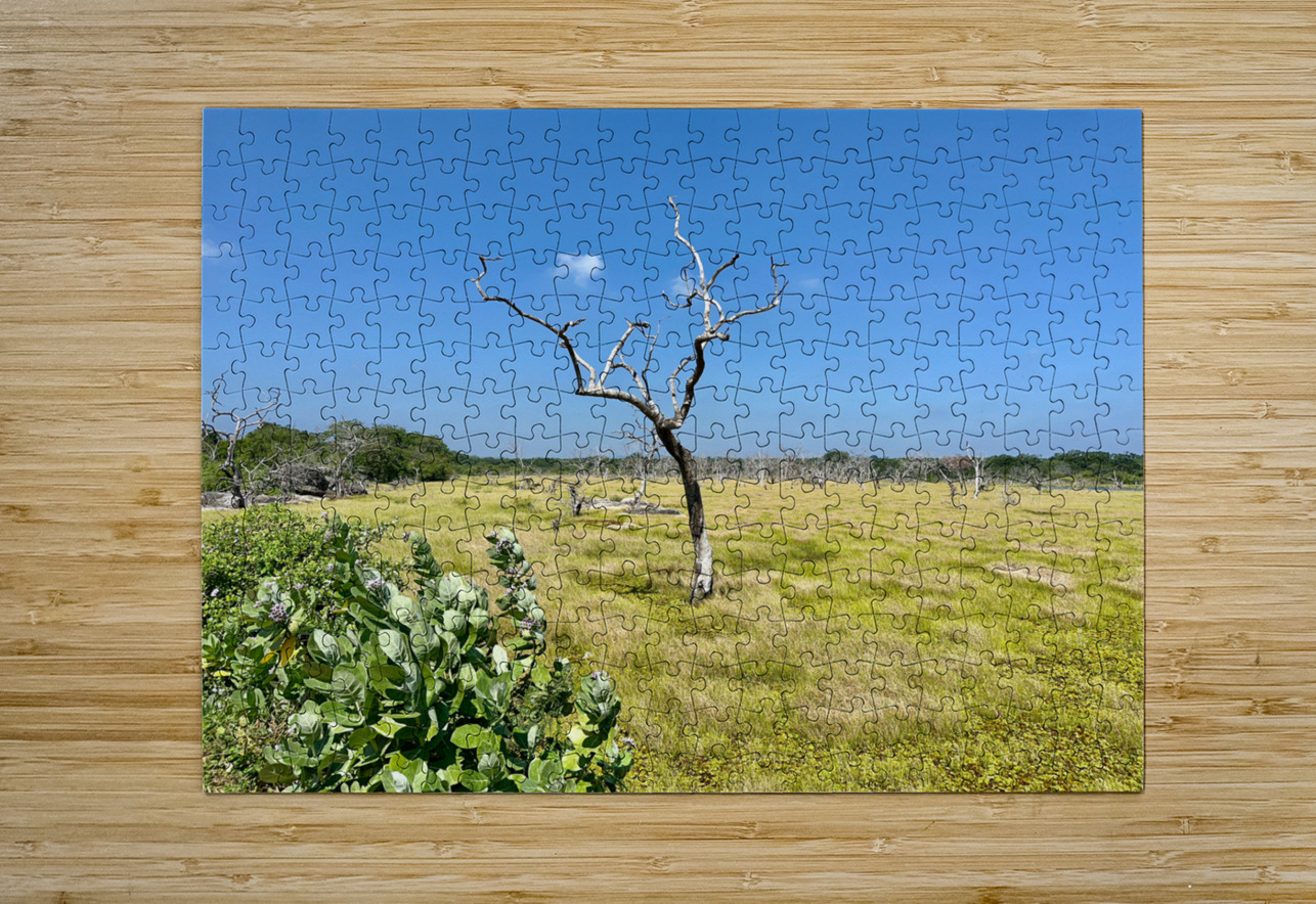 Yala National Park Sri Lanka 2 Jimmy Roy Photos Puzzle printing