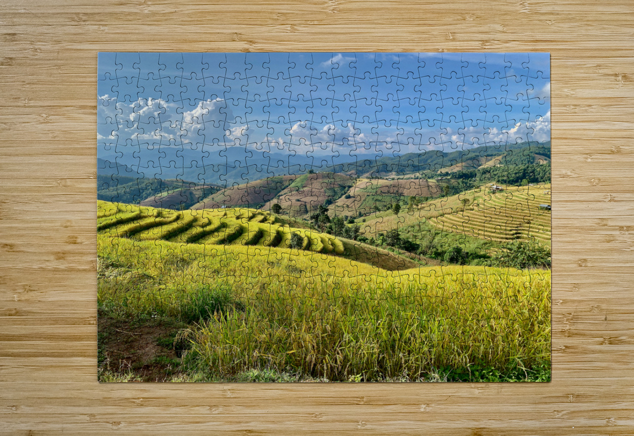 Amazing Rice Fields Jimmy Roy Photos Puzzle printing