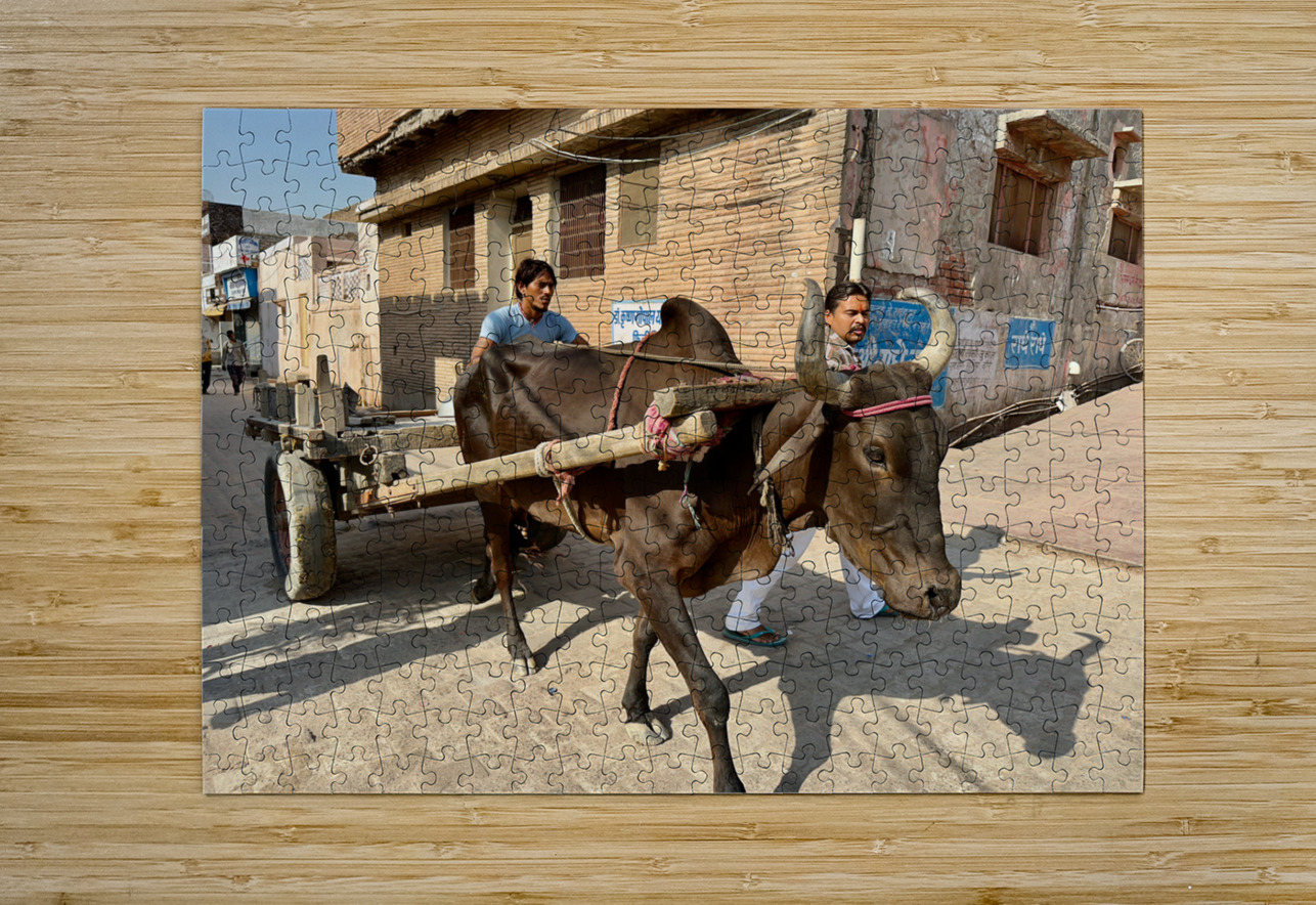 Special Delivery Jimmy Roy Photos Puzzle printing