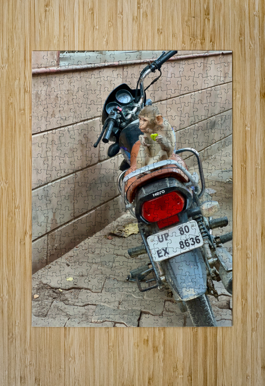 Snack Rider Jimmy Roy Photos Puzzle printing