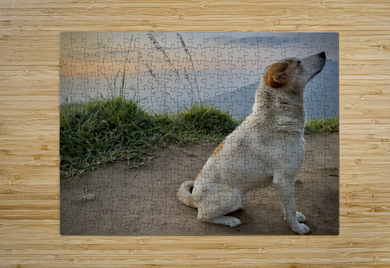 Ella Mountain Dog Jimmy Roy Photos Puzzle printing