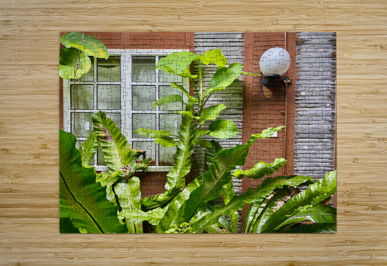 Maboul Island 19 Jimmy Roy Photos Puzzle printing