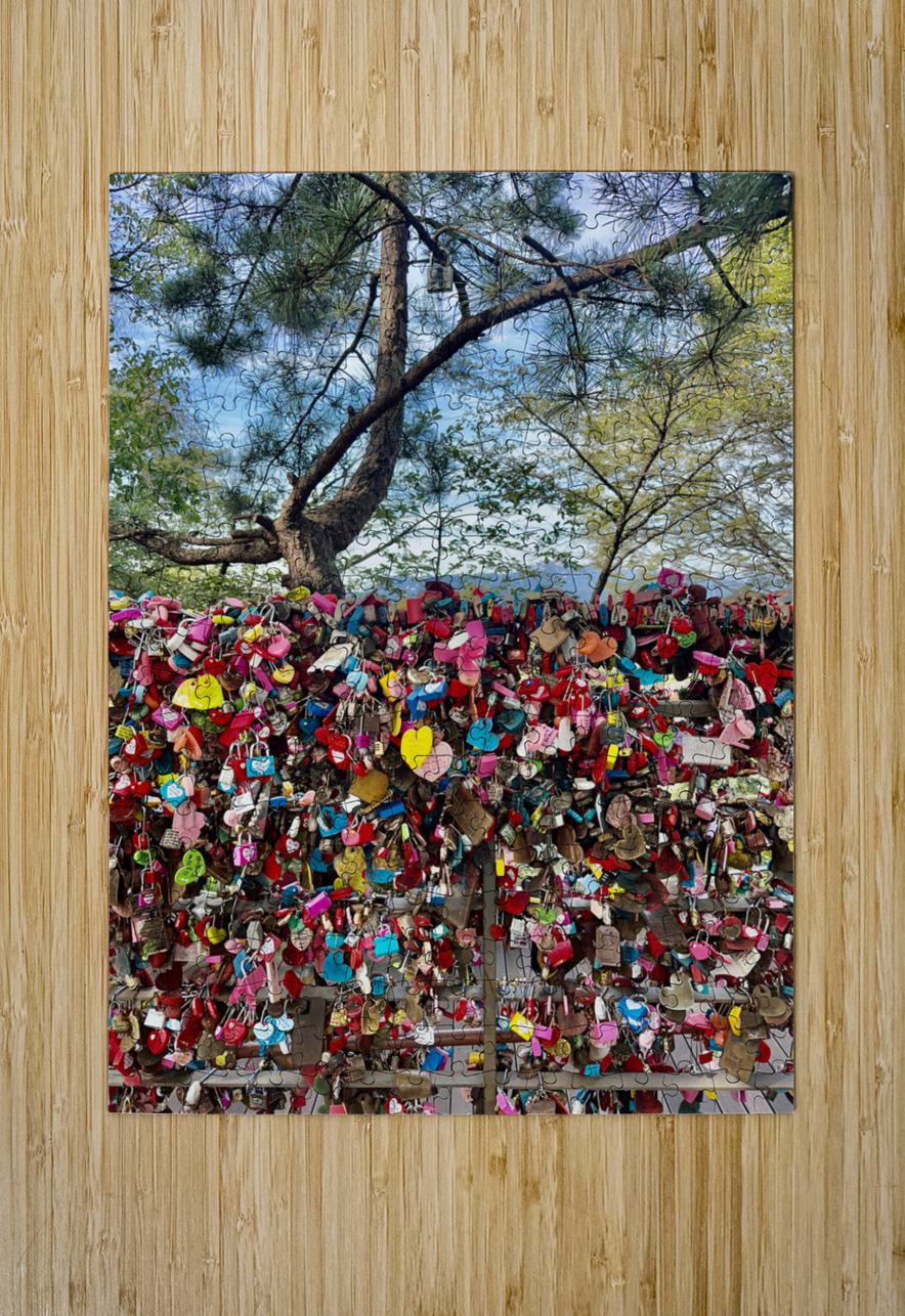 Namsan Tower Seoul South Korea 2 Jimmy Roy Photos Puzzle printing