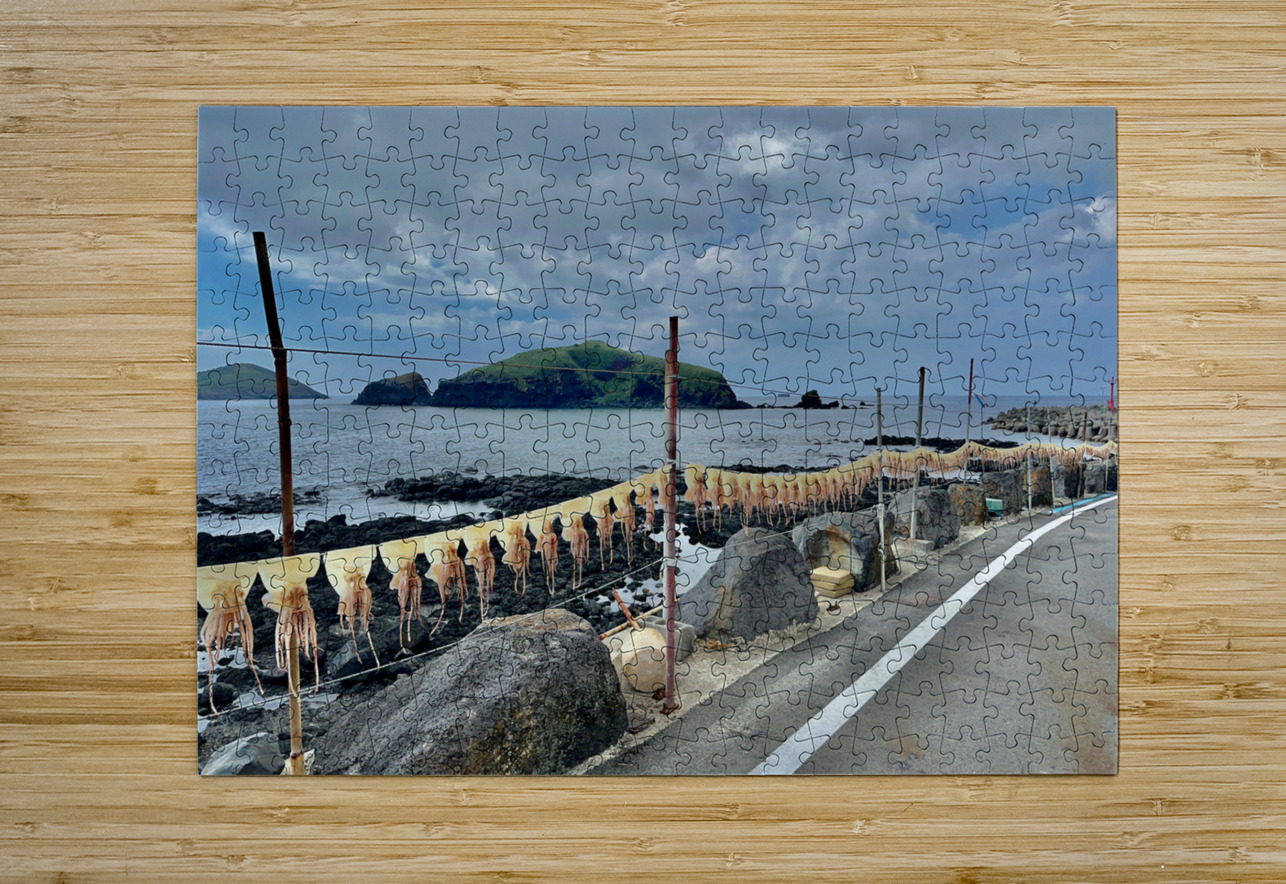 Squids on the Line Jeju South Korea Jimmy Roy Photos Puzzle printing