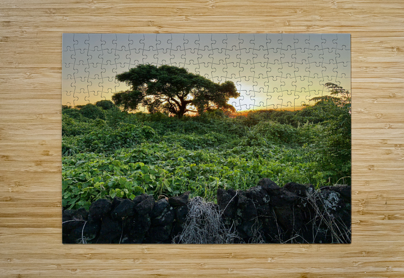The Sunset Behind Jeju South Korea Jimmy Roy Photos Puzzle printing