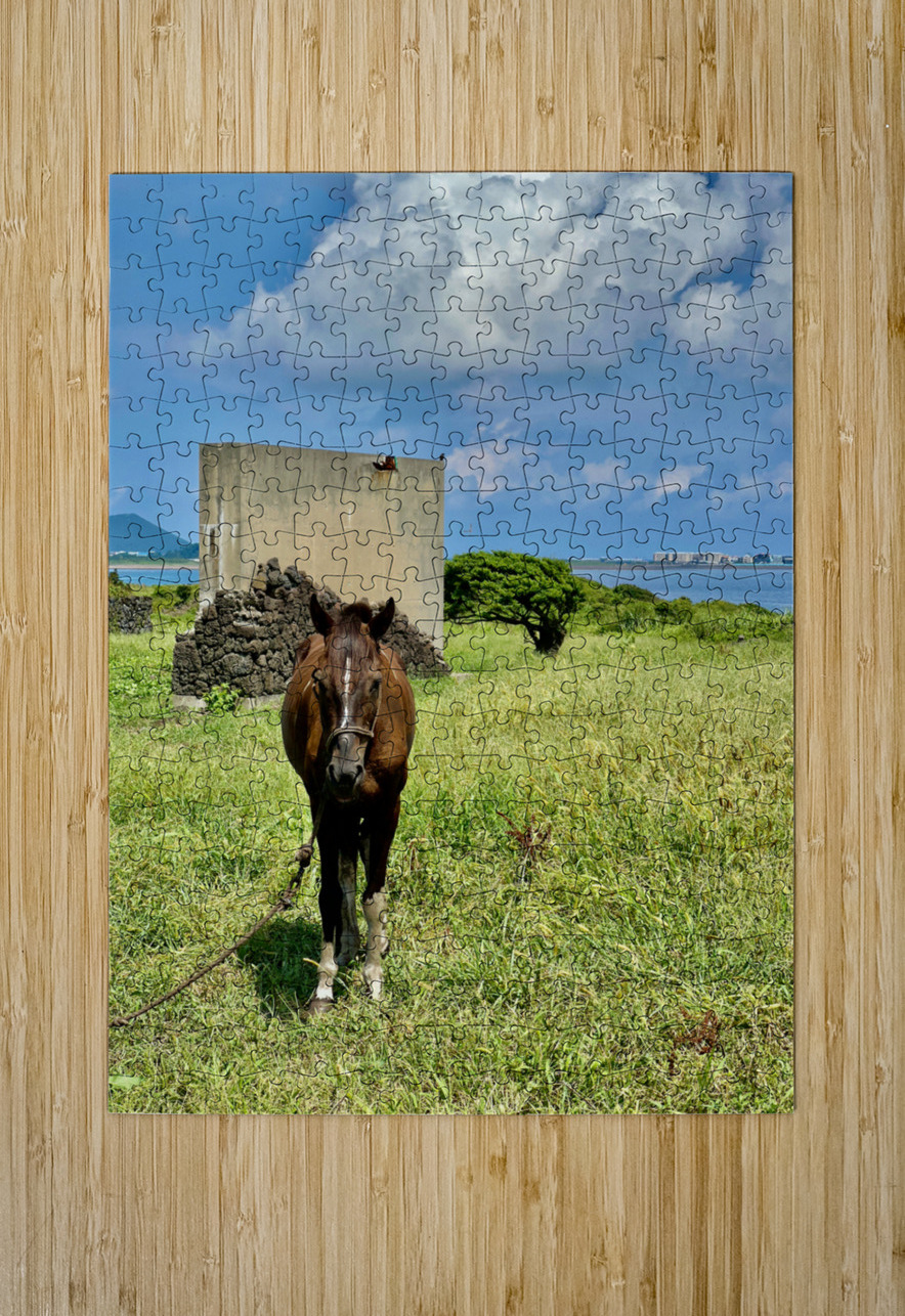 Seopjikoji Jeju South Korea 2 Jimmy Roy Photos Puzzle printing