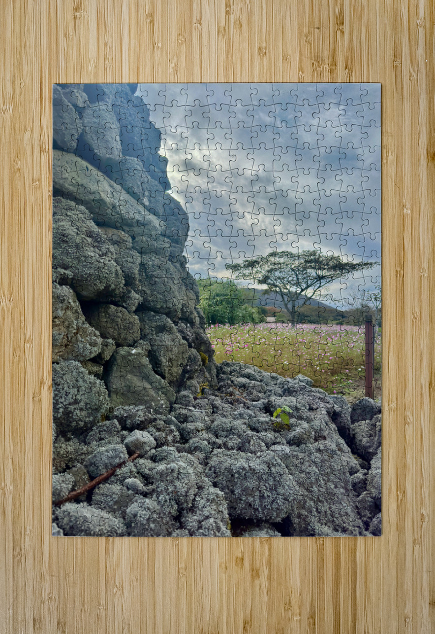 Stone Park Jeju South Korea 7 Jimmy Roy Photos Puzzle printing