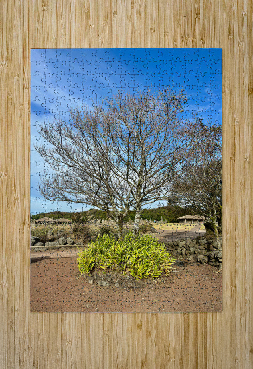 Stone Park Jeju South Korea 5 Jimmy Roy Photos Puzzle printing