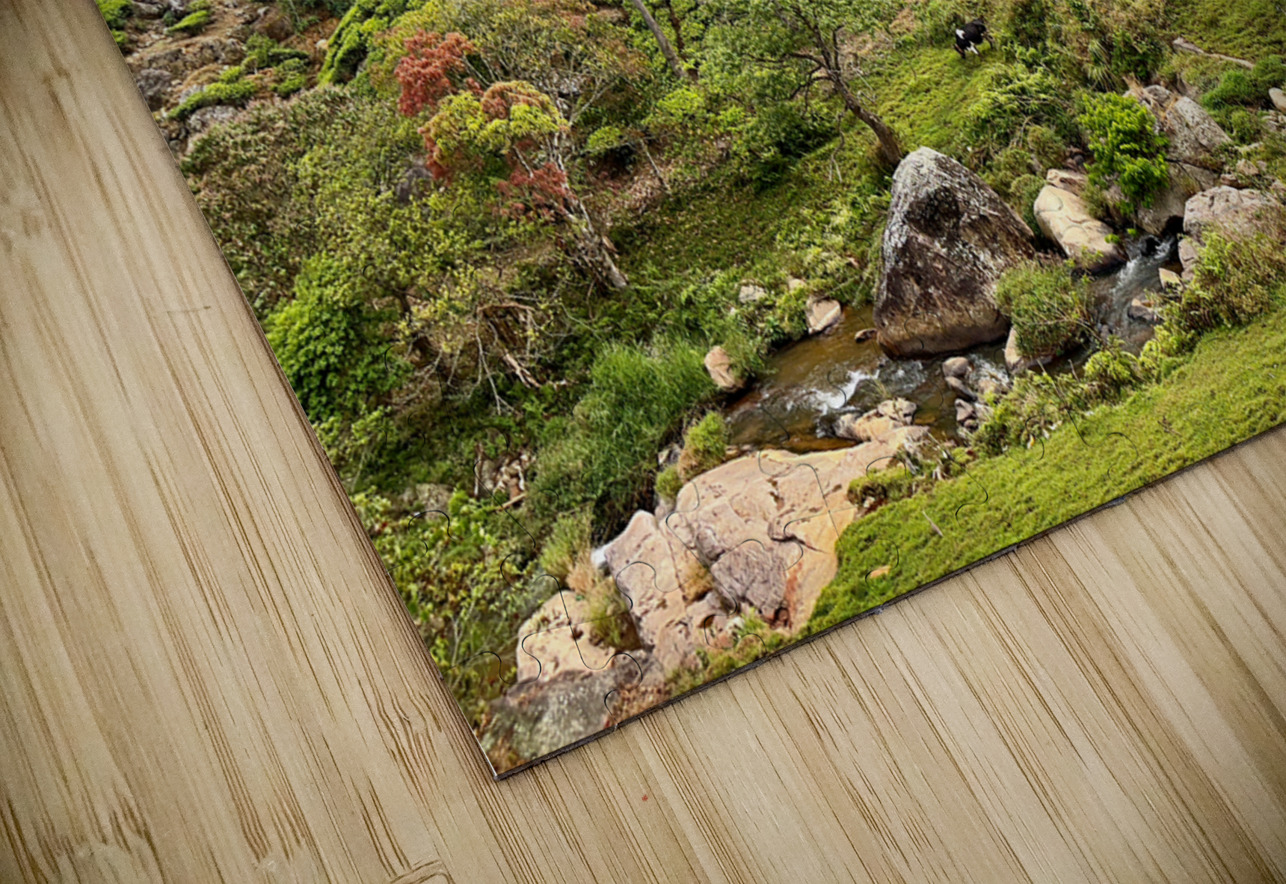 101 Tea Plantations Jimmy Roy Photos Puzzle