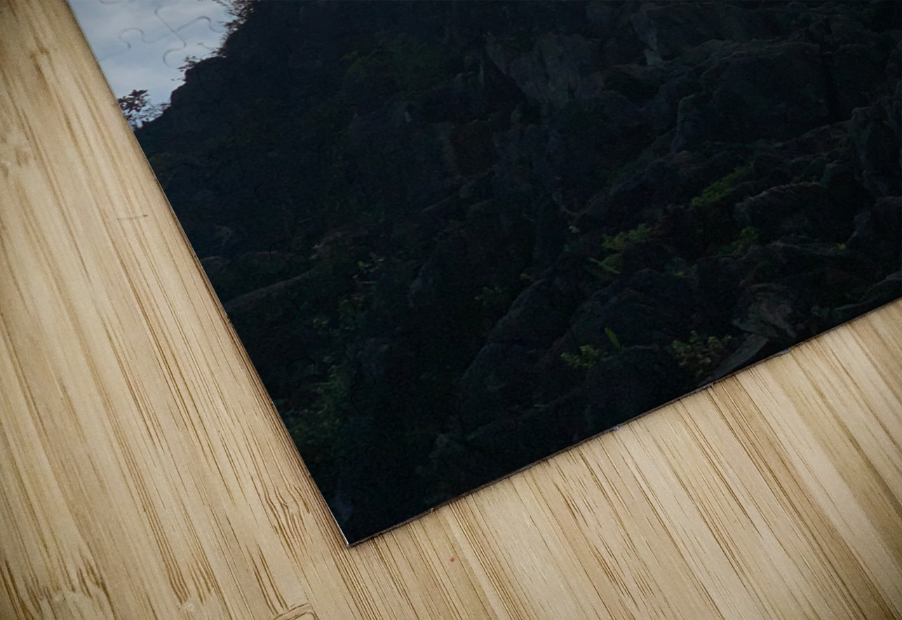 King of the Hill Jimmy Roy Photos Puzzle