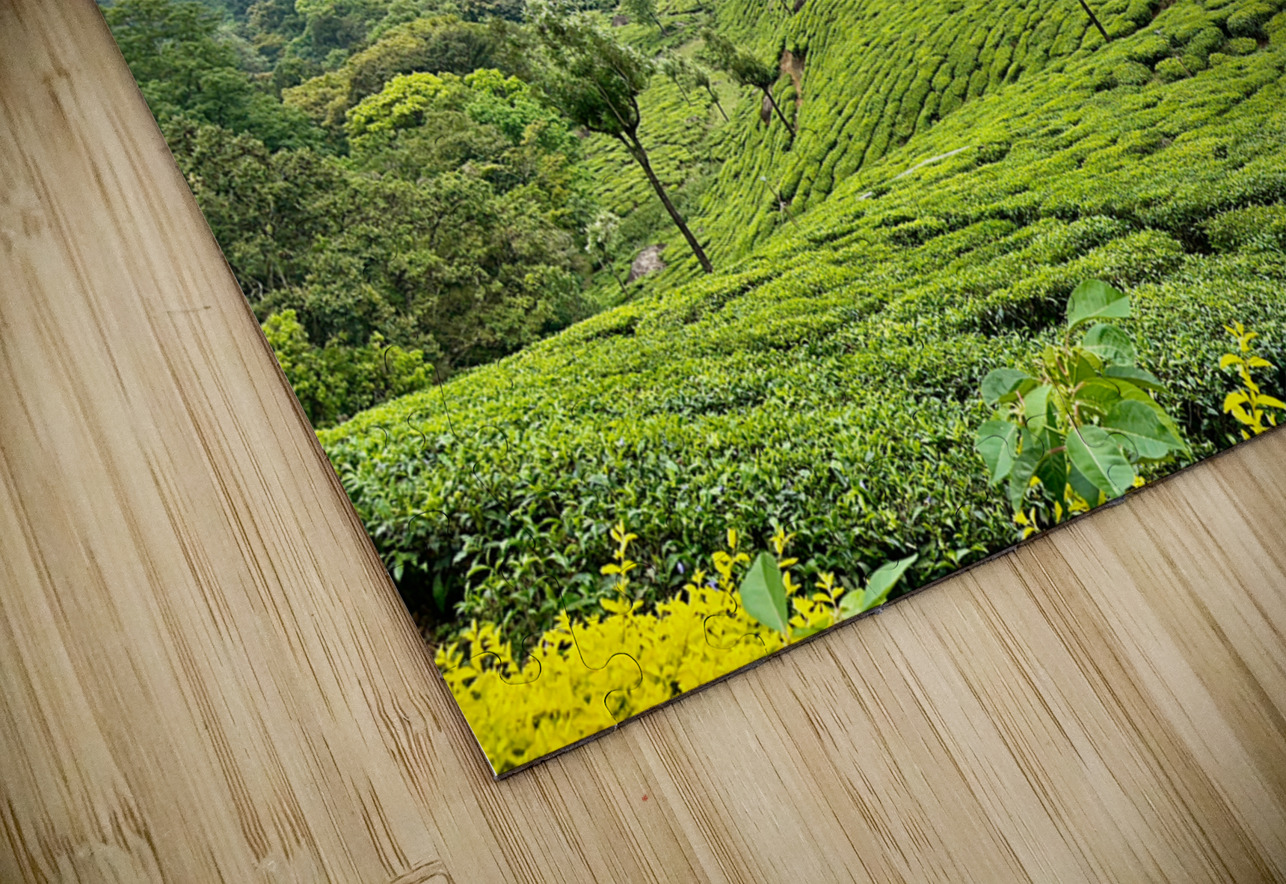 Tea Plantations 3 Jimmy Roy Photos Puzzle