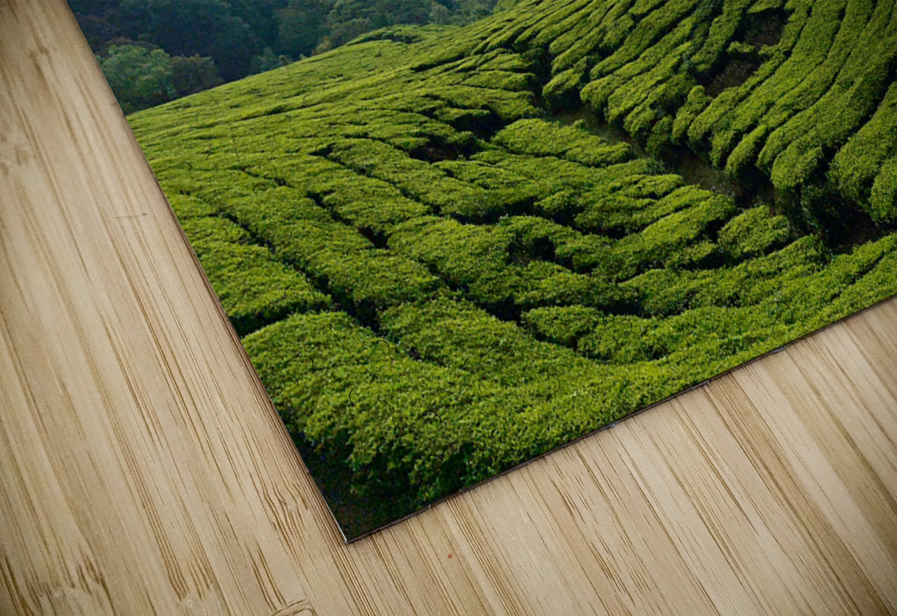 Tea Plantations 5 Jimmy Roy Photos Puzzle