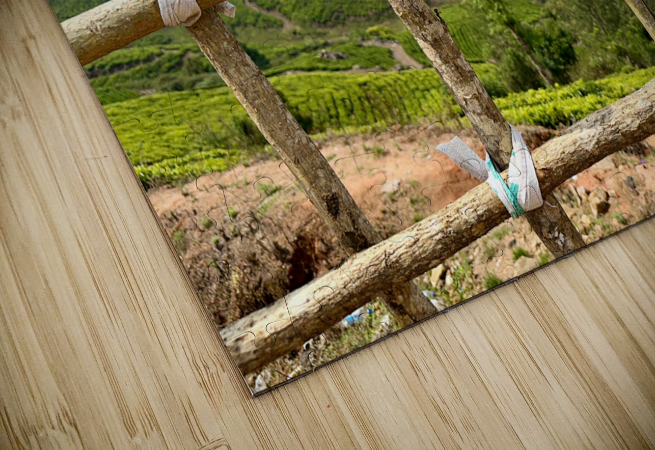 Peak a Tree Jimmy Roy Photos Puzzle