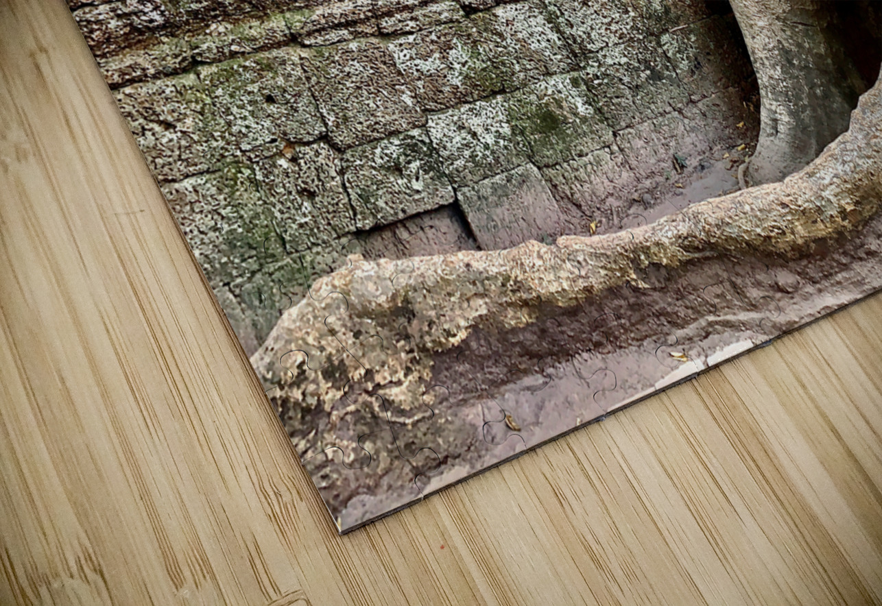 Temple Tree Jimmy Roy Photos Puzzle