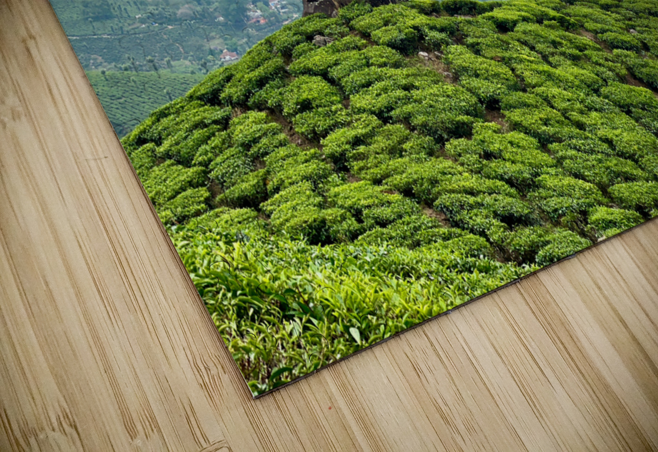 Rock on Top of Tea Jimmy Roy Photos Puzzle