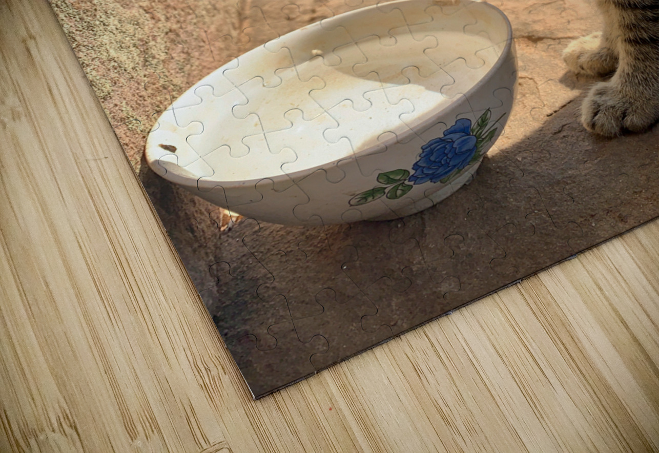 Cat Dreaming of the Future Jimmy Roy Photos Puzzle