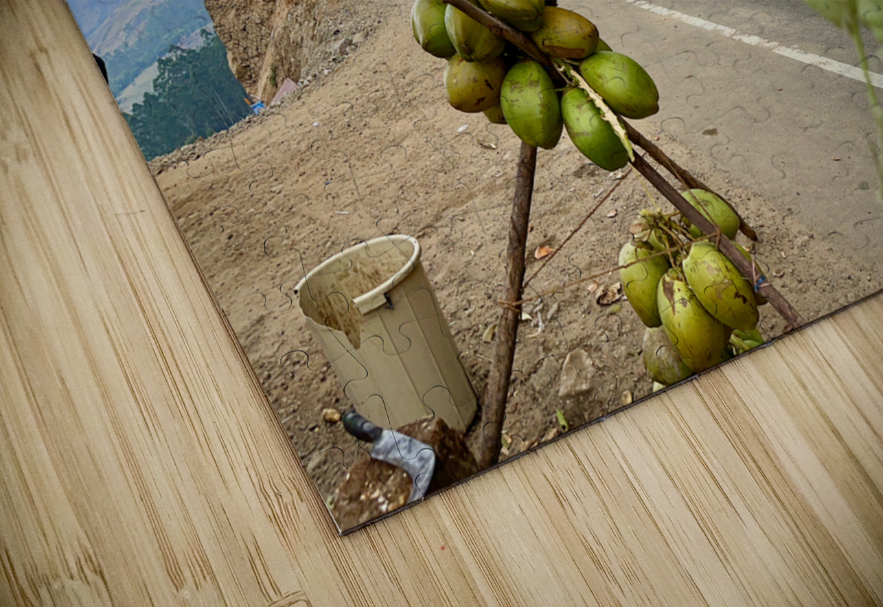 Corn  Coconuts Jimmy Roy Photos Puzzle