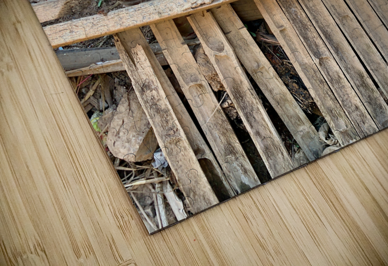 Flower Pots Jimmy Roy Photos Puzzle