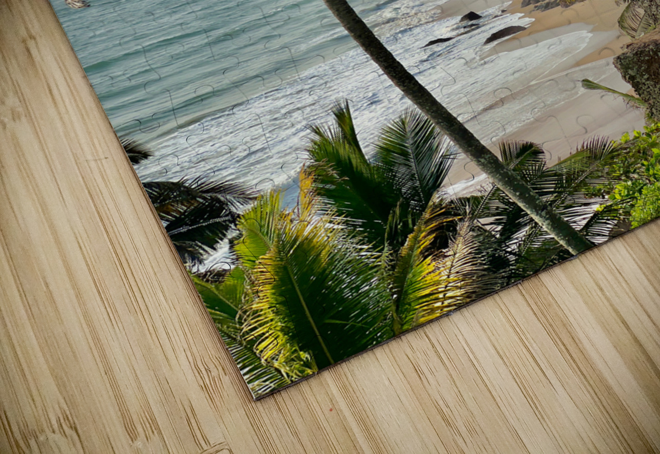 Palm Trees by the Beach Jimmy Roy Photos Puzzle