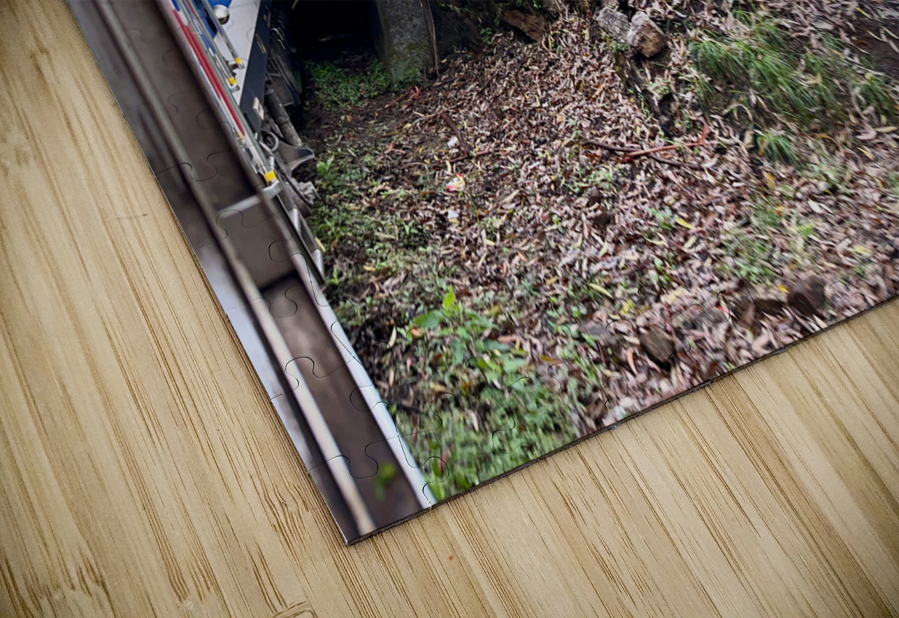 Train Through the Mini Tunnel Jimmy Roy Photos Puzzle