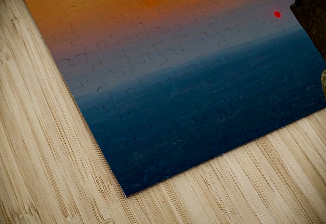 Thinking Monkey at Sunset Jimmy Roy Photos Puzzle