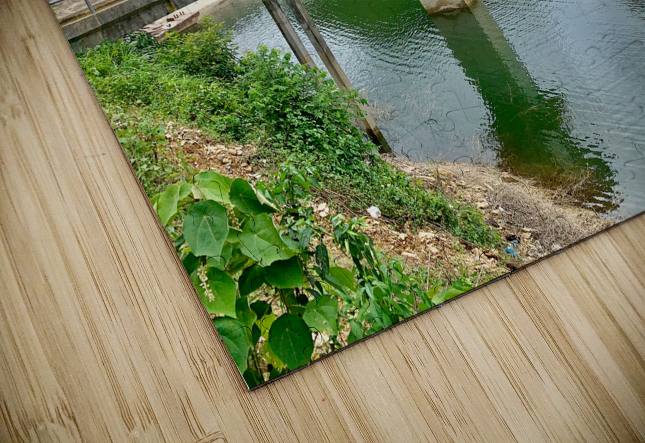 Tower on the Lake Jimmy Roy Photos Puzzle