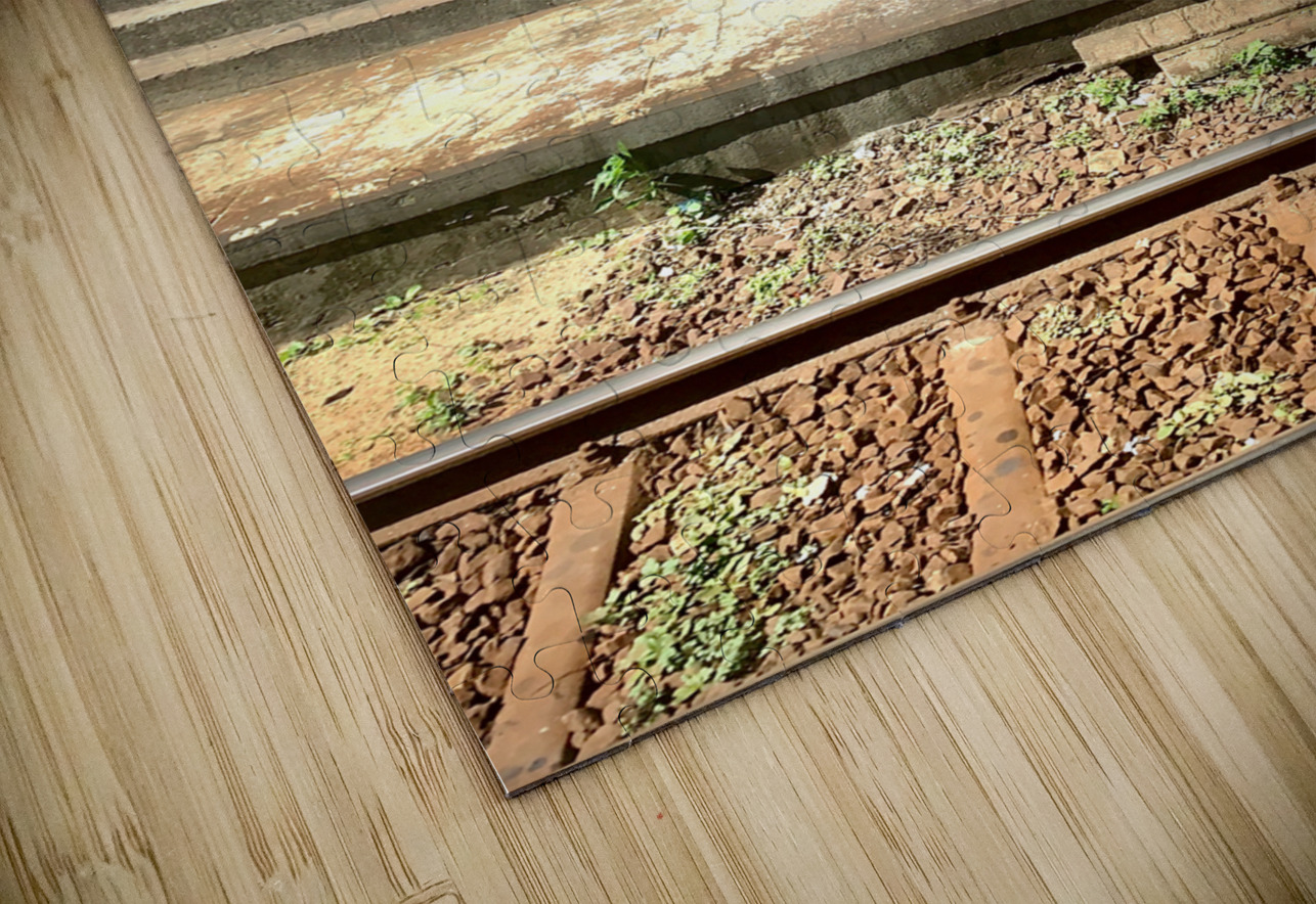 The Train Controller Jimmy Roy Photos Puzzle