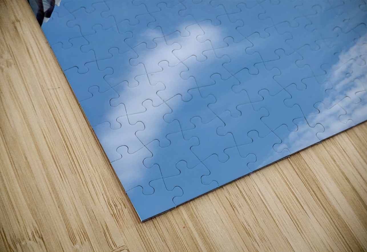 Seagull Look Jimmy Roy Photos Puzzle