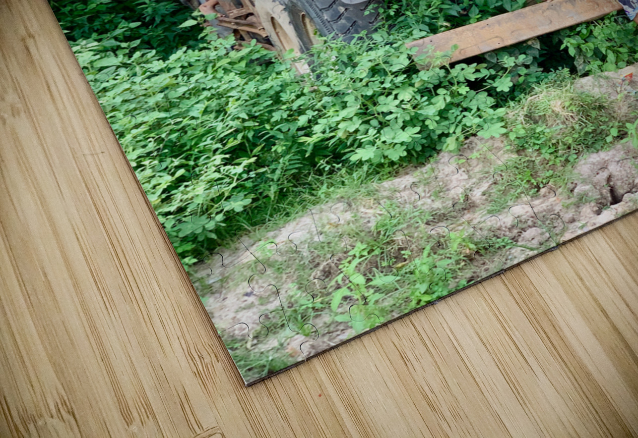 Playing with the Big Truck Jimmy Roy Photos Puzzle