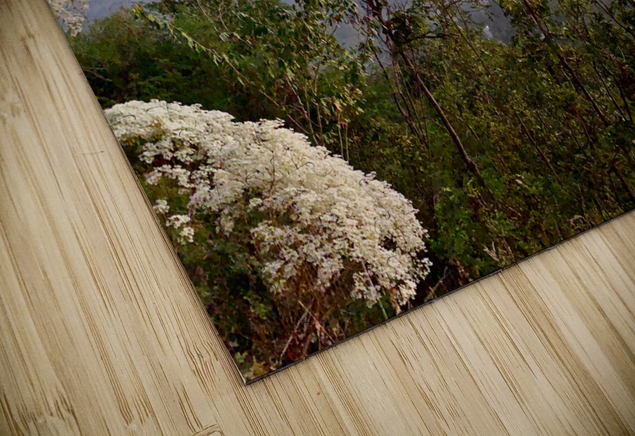 Sunrise Mountains Jimmy Roy Photos Puzzle