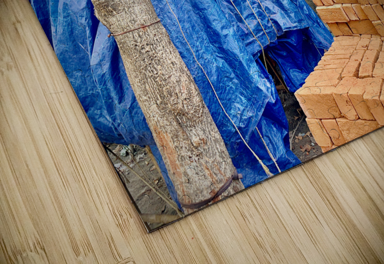 Bricks on the Head Jimmy Roy Photos Puzzle