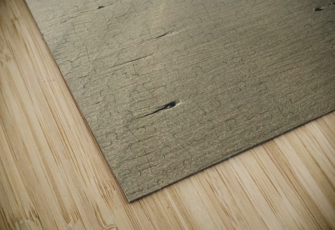 Infinite Sandy Beach Jimmy Roy Photos Puzzle