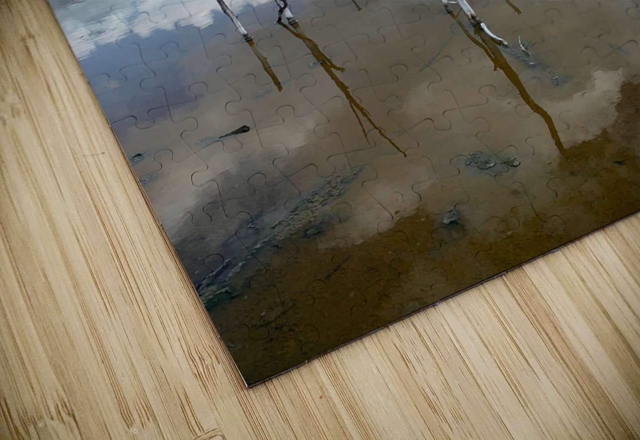 Branches reflections Jimmy Roy Photos Puzzle