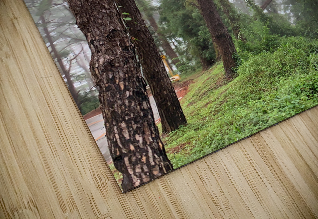 Trees of Mystery Jimmy Roy Photos Puzzle