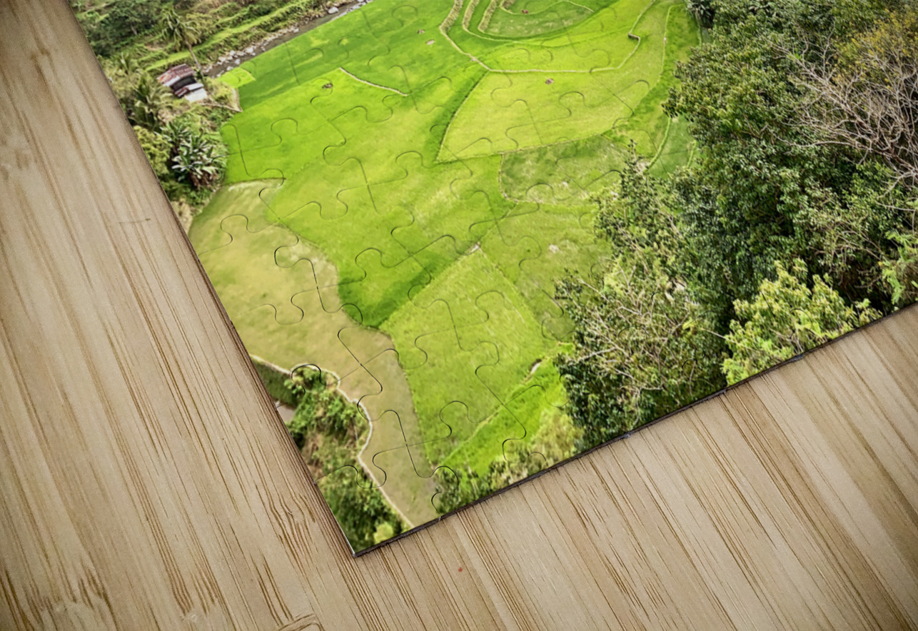 Rice Valley Jimmy Roy Photos Puzzle