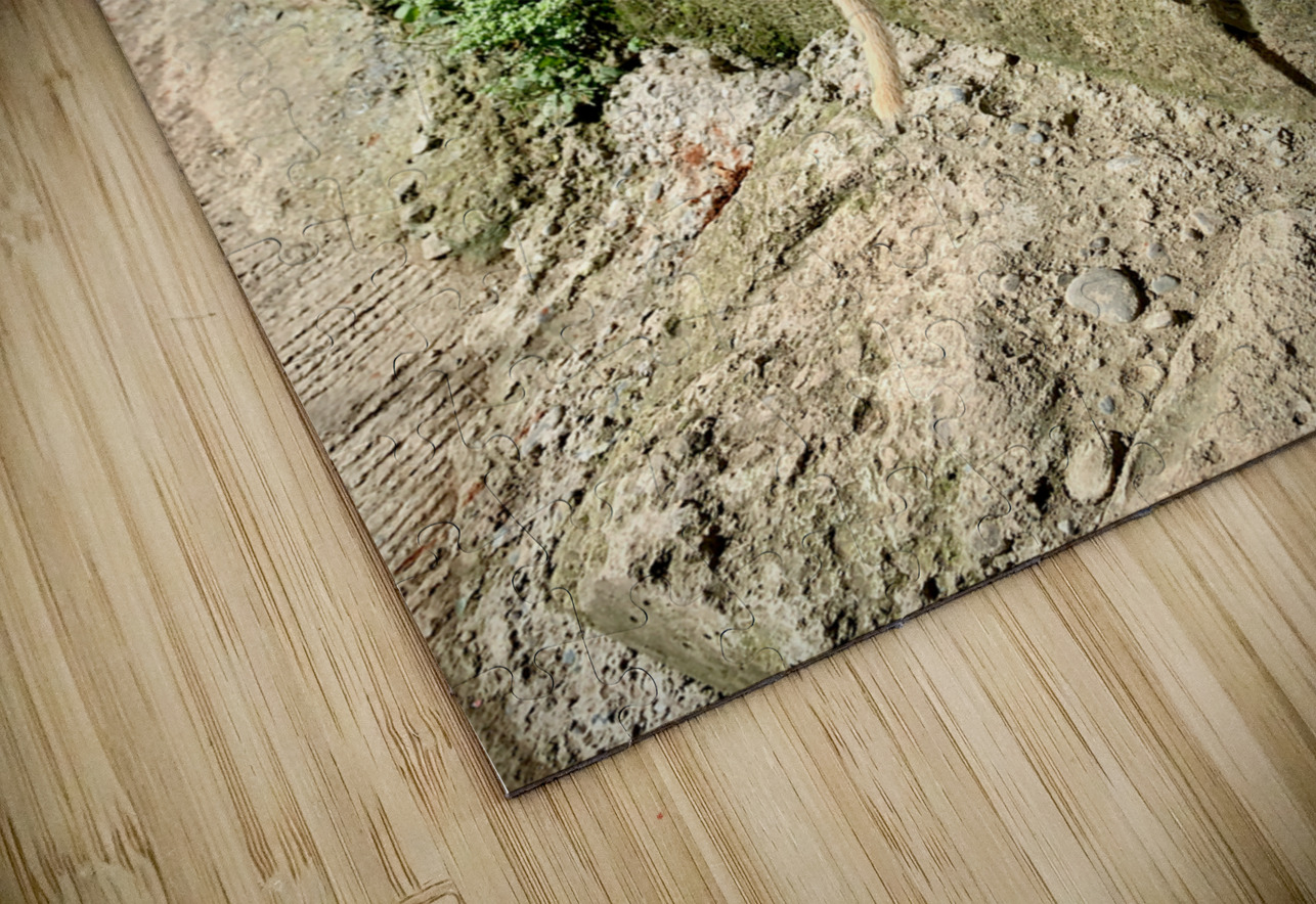 Puppy s efforts Jimmy Roy Photos Puzzle