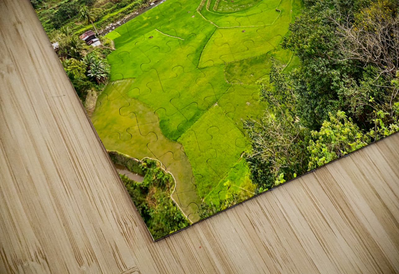 Rice Valley 2 Jimmy Roy Photos Puzzle